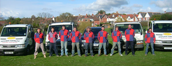 The Team The Team